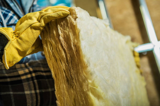Best Insulation Maintenance and Repair in Jamestown, OH