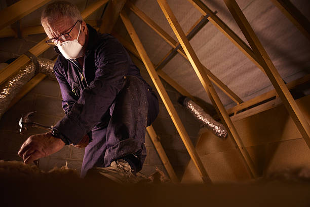 Best DIY Insulation Kits and Guidance in Jamestown, OH